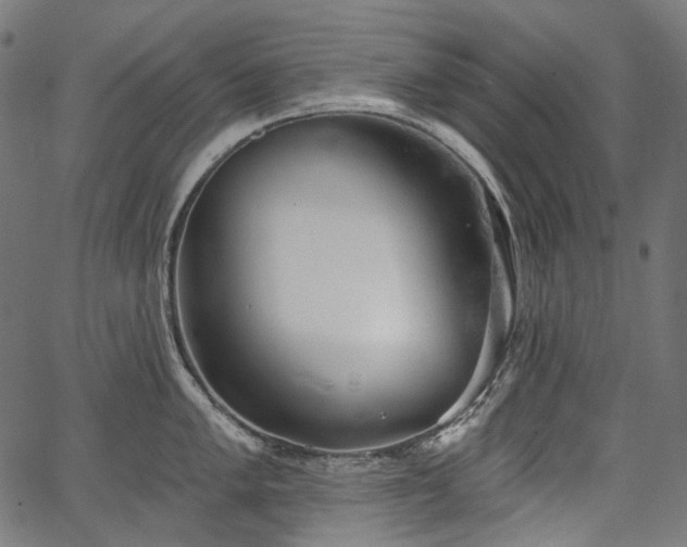 X0000067391005200603311254