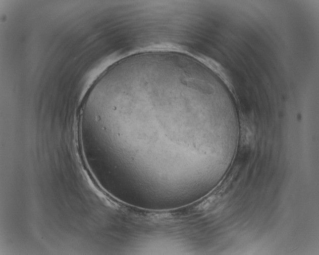 X0000067391006200603311254