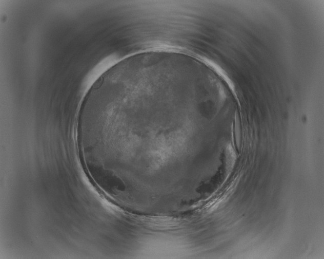 X0000067391007200603311254