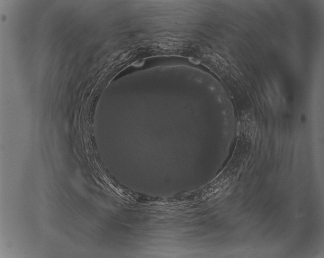 X0000067391009200603311253