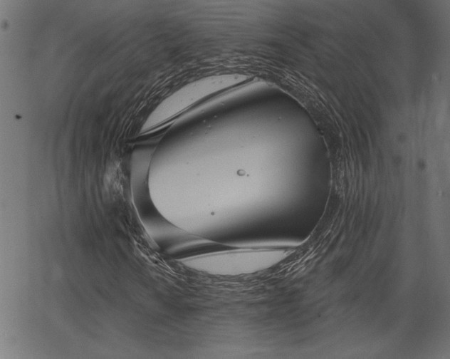 X0000067391010200603311253