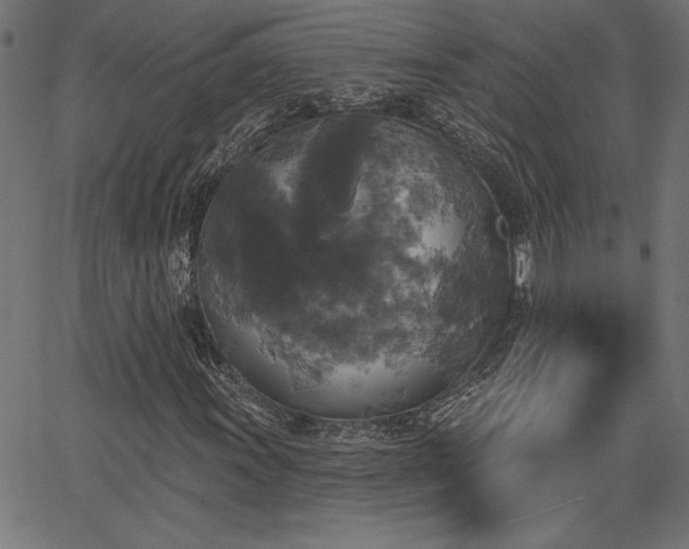 X0000067391011200603311253