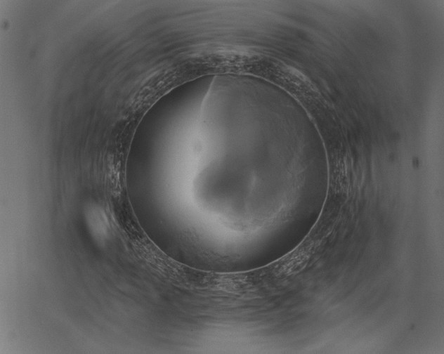 X0000067391013200603311253