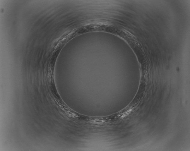 X0000067391014200603311253