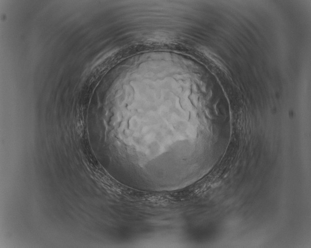 X0000067391015200603311253