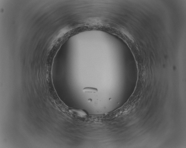 X0000067391016200603311253