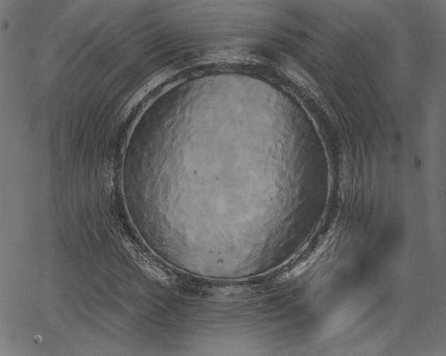 X0000067391017200603311253