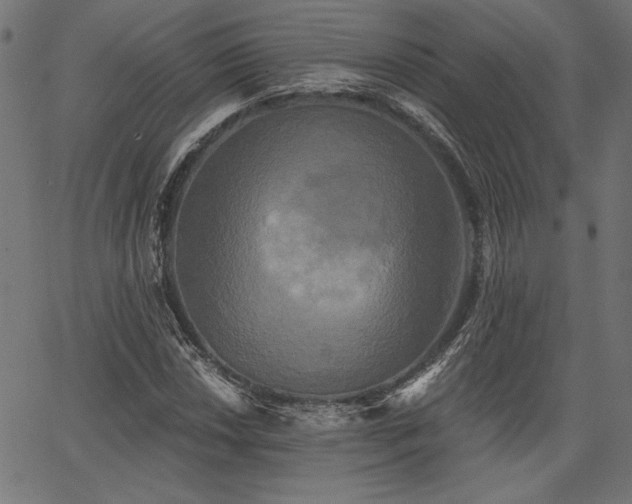 X0000067391018200603311253