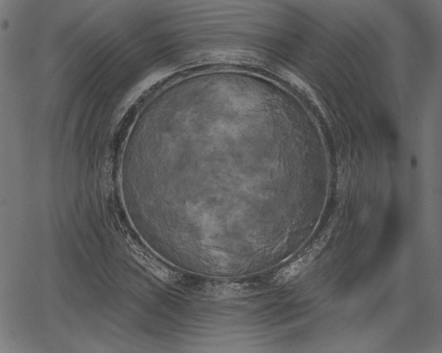 X0000067391019200603311253