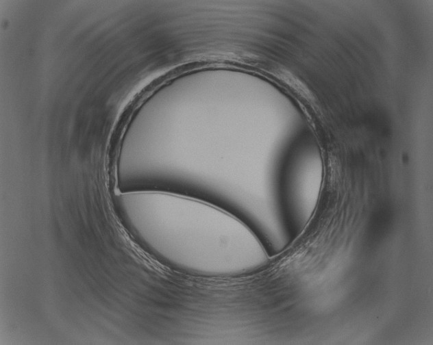 X0000067391020200603311253