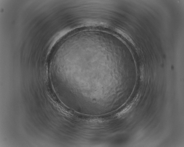 X0000067391021200603311253