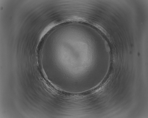 X0000067391022200603311253