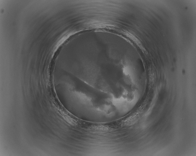 X0000067391023200603311253