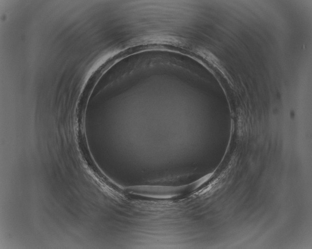 X0000067391024200603311253