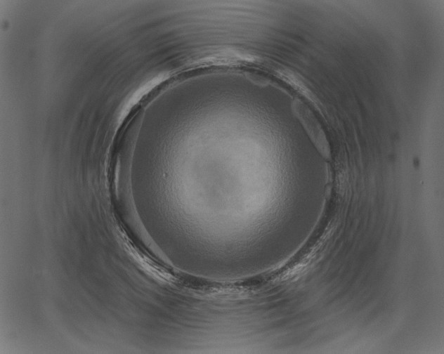 X0000067391026200603311253