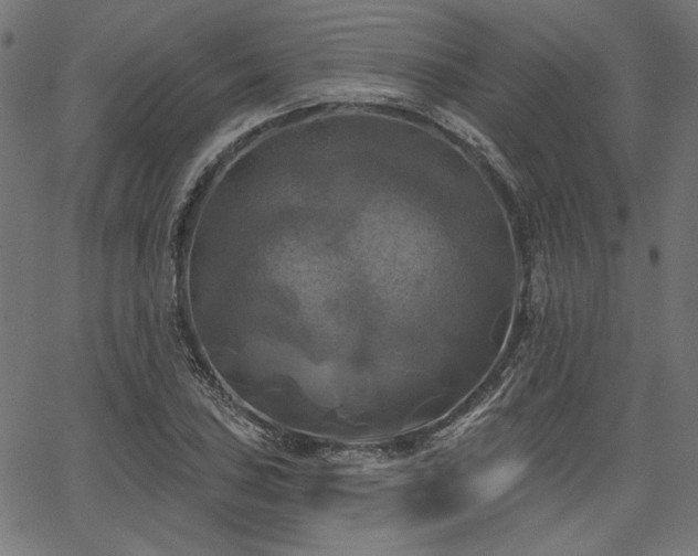 X0000067391027200603311254