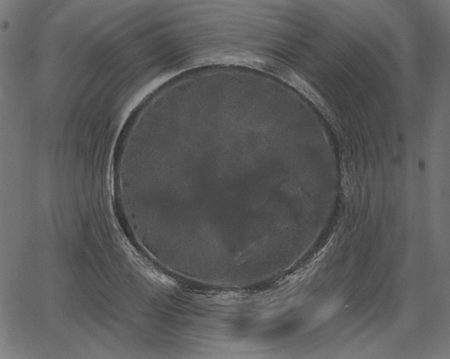 X0000067391028200603311254