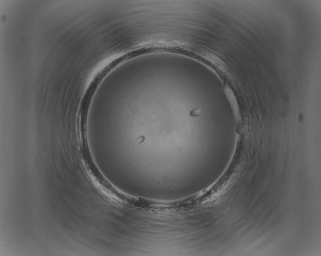 X0000067391030200603311254