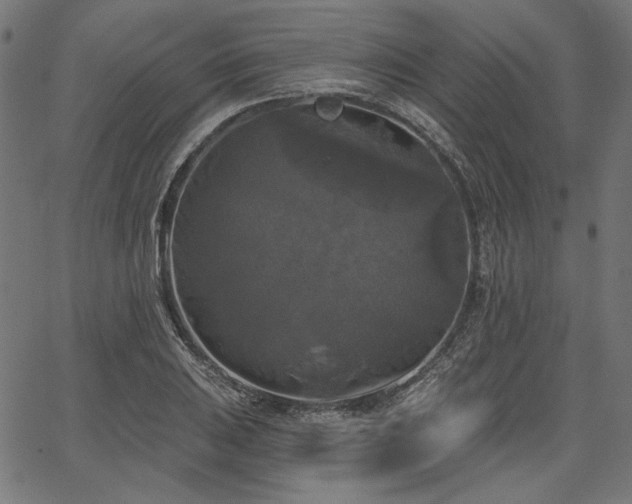 X0000067391031200603311254