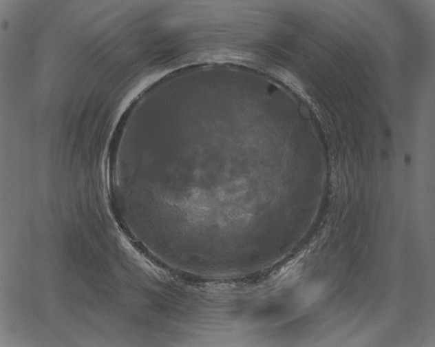 X0000067391032200603311254