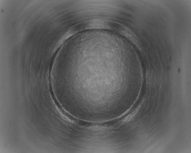 X0000067391033200603311254