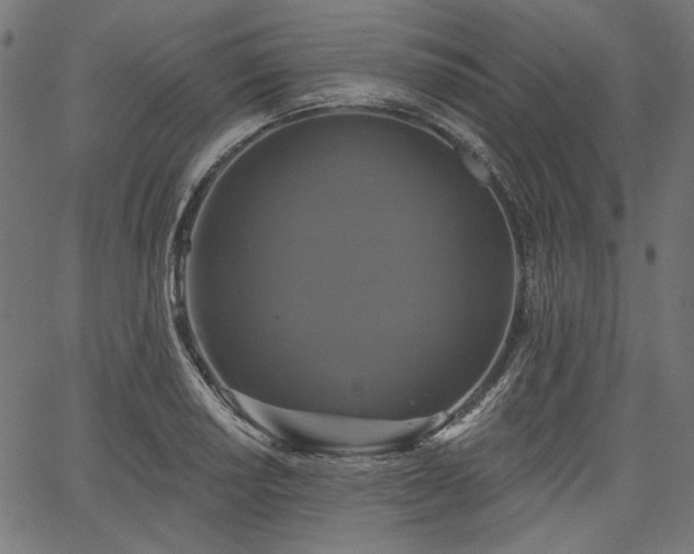 X0000067391034200603311254