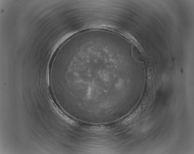 X0000067391036200603311254