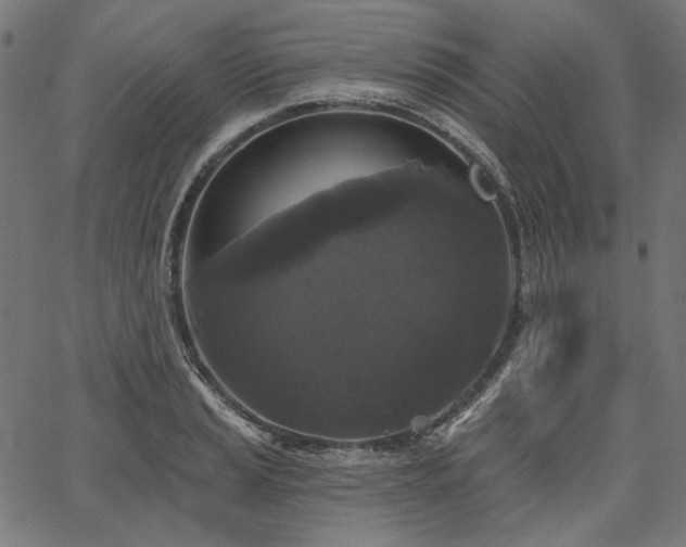 X0000067391037200603311254