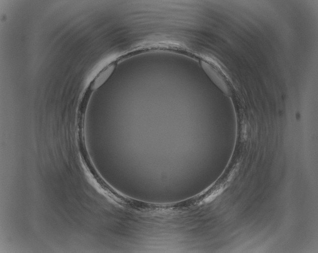 X0000067391038200603311254