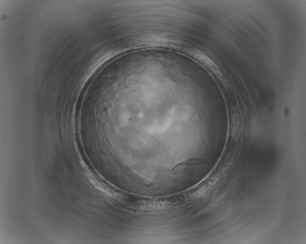 X0000067391039200603311254