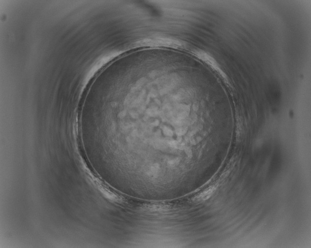 X0000067391040200603311254