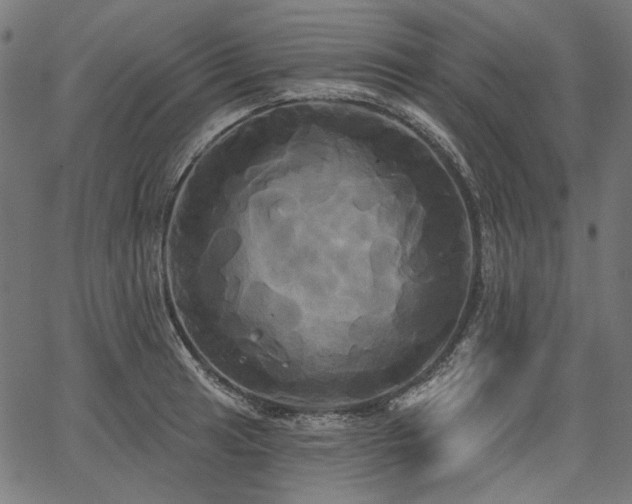 X0000067391041200603311254