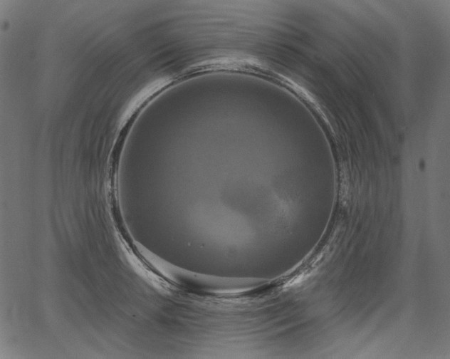 X0000067391042200603311254