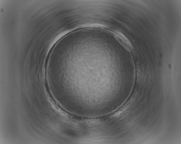 X0000067391044200603311254