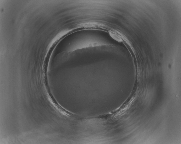 X0000067391045200603311254