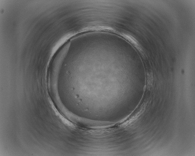 X0000067391046200603311254