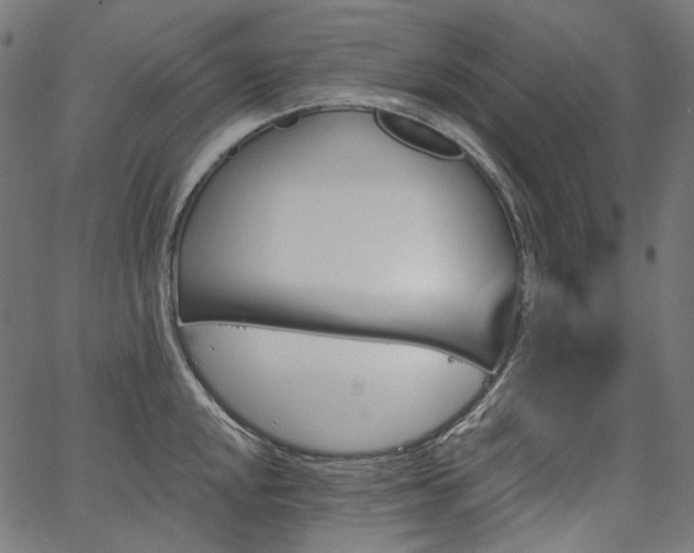 X0000067391048200603311254