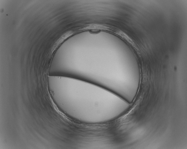 X0000067391049200603311254