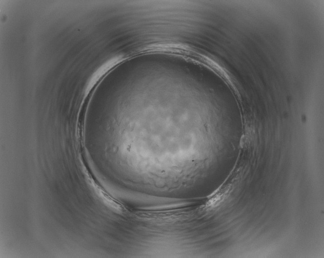 X0000067391050200603311254