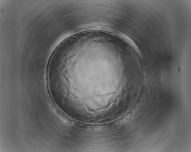 X0000067391051200603311254