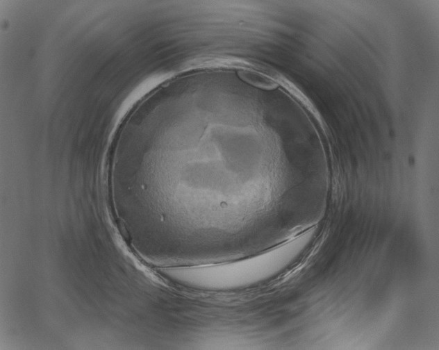 X0000067391053200603311254