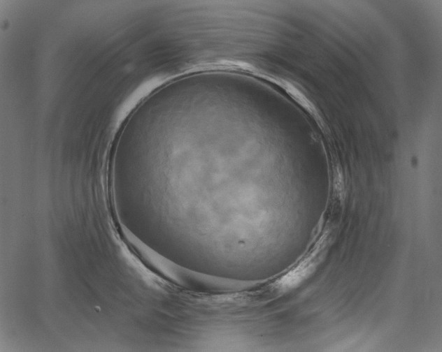 X0000067391054200603311254