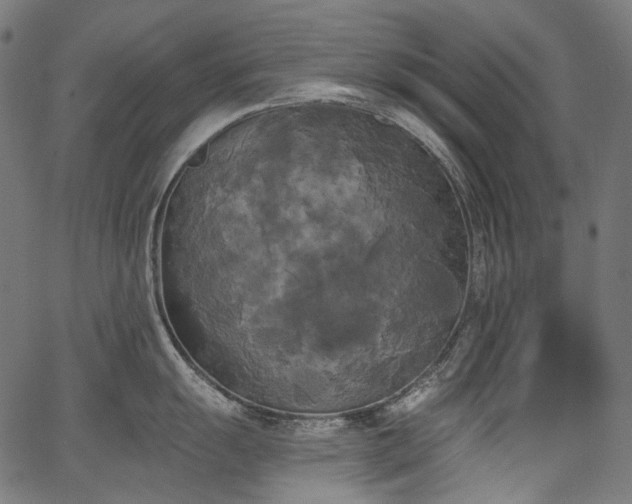 X0000067391055200603311254