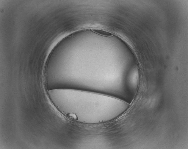 X0000067391056200603311254