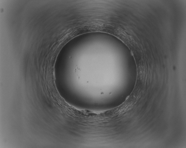 X0000067391057200603311253