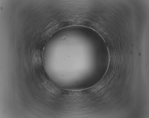 X0000067391058200603311253