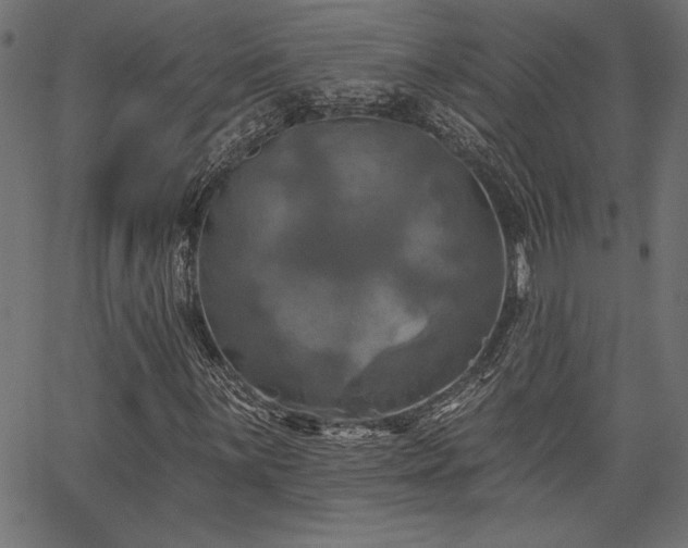 X0000067391059200603311253