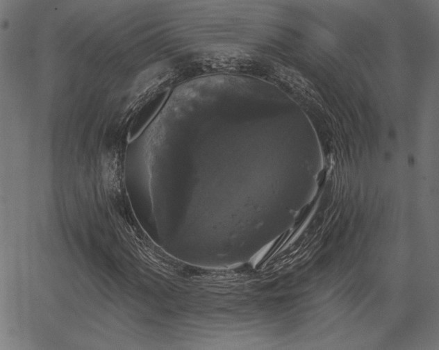 X0000067391060200603311253