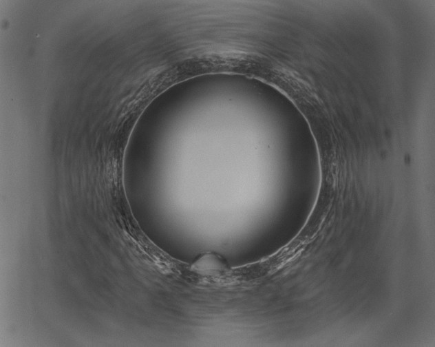 X0000067391061200603311253