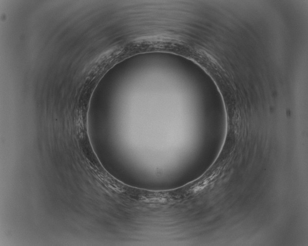 X0000067391062200603311253